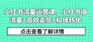 小红书流量运营课,小红书搞流量+高效卖货+私域转化-优优云创网