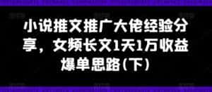 小说推文推广大佬经验分享,女频长文1天1万收益爆单思路(下)-优优云创网