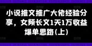 小说推文推广大佬经验分享,女频长文1天1万收益爆单思路(上)-优优云创网