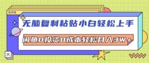 (12432期)无脑复制粘贴,小白轻松上手,电商0投资0成本轻松月入3W+-优优云创网