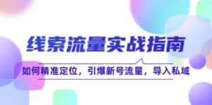 （12382期）线 索 流 量-实战指南：如何精准定位，引爆新号流量，导入私域-优优云创网