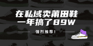 (12370期)24年在私域卖莆田鞋,一年搞了89W,强烈推荐!-优优云创网