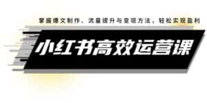 (12369期)小红书高效运营课:掌握爆文制作、流量提升与变现方法,轻松实现盈利-优优云创网