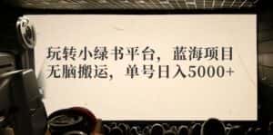 （12366期）玩转小绿书平台，蓝海项目，无脑搬运，单号日入5000+-优优云创网