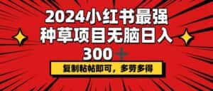 (12336期)2024小红书最强种草项目,无脑日入300+,复制粘帖即可,多劳多得-优优云创网