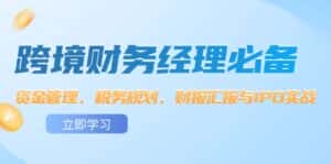 (12323期)跨境 财务经理必备:资金管理、税务规划、财报汇报与IPO实战-优优云创网
