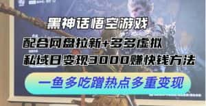 (12316期)黑神话悟空游戏配合网盘拉新+多多虚拟+私域日变现3000+赚快钱方法。…-优优云创网