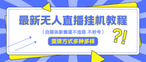 最新无人直播挂机教程，可自用可收徒，收益无上限，一天啥都不干光靠收徒变现5000+-优优云创网