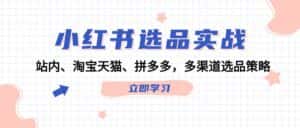 小红书选品实战:站内、淘宝天猫、拼多多,多渠道选品策略-优优云创网