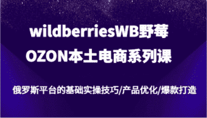 wildberriesWB野莓/OZON本土电商系列课，俄罗斯平台的基础实操技巧/产品优化/爆款打造-优优云创网