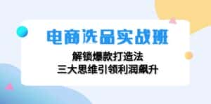 电商选品实战班:解锁爆款打造法,三大思维引领利润飙升-优优云创网