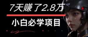 7天赚了2.8万！每单利润最少500+，轻松月入7万+小白有手就行-优优云创网