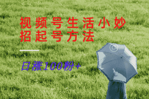 视频号生活小妙招分享赛道， 起号涨粉新方法，日涨100粉-优优云创网