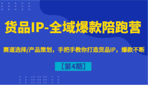 货品IP-全域爆款陪跑营【第4期】赛道选择/产品策划,手把手教你打造货品IP,爆款不断-优优云创网