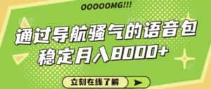 骚气的导航语音包，自用的同时还可以作为项目操作，月入8000+-优优云创网