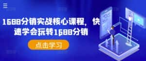 1688分销实战核心课程,快速学会玩转1688分销-优优云创网
