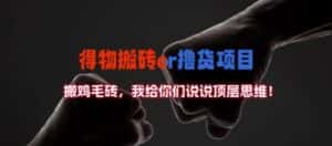 得物搬砖撸货项目?掰下数据,我给你们说说顶层思维-优优云创网
