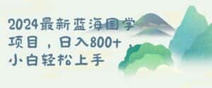 国学项目，长期蓝海可矩阵，从0-1的过程-优优云创网