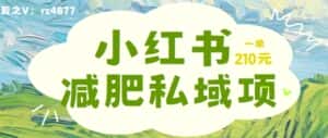 小红书减肥粉,私域变现项目,一单就达210元,小白也能轻松上手-优优云创网