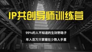 (12504期)IP共创导师训练营 99%的人不知道的生财野路子 只掌握在少数人手里-优优云创网