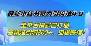 （12505期）最新小红书暴力引流法4.0， 全平台模式已打通，日精准引流300+，加爆微…-优优云创网