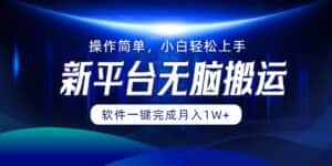 (12528期)平台无脑搬运月入1W+软件一键完成,简单无脑小白也能轻松上手-优优云创网