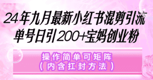 （12530期）小红书混剪引流，单号日引200+宝妈创业粉，操作简单可矩阵（内含扛封…-优优云创网