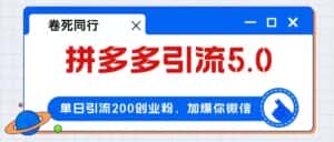 （12533期）拼多多引流付费创业粉，单日引流200+，日入4000+-优优云创网