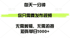 （12538期）矩阵单日1000+，你只需要发布视频，用时一分钟，无需剪辑，无需拍摄-优优云创网