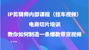 IP剪辑师内部课程（挂车视频），电商切片培训，教你如何制造一条爆款带货视频-优优云创网