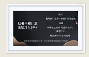 （12560期）红薯千粉计划无脑月入5千+！既做既赚！-优优云创网