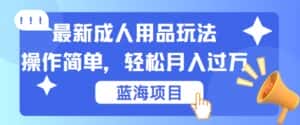 最新成人用品项目玩法，操作简单，动动手，轻松日入几张-优优云创网