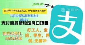 （12563期）下半年最新风口项目，支付宝最稳定玩法，0成本无脑操作，最快当天提现…-优优云创网