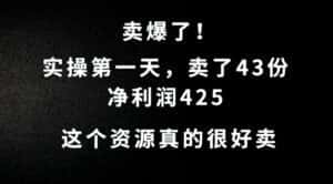 这个资源,需求很大,实操第一天卖了43份,净利润425-优优云创网