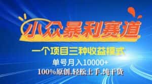 (12579期)【老人言】-视频号爆火赛道,三种变现方式,0粉新号调调爆款-优优云创网