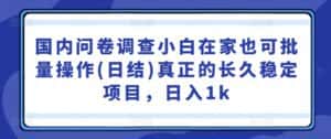 国内问卷调查小白在家也可批量操作(日结)真正的长久稳定项目,日入1k-优优云创网