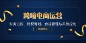 (12592期)跨境电商运营:财务进阶、财税筹划、合规管理与风险控制-优优云创网