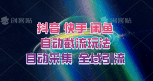 快手、抖音、闲鱼自动截流玩法，利用一个软件自动采集、评论、点赞、私信，全域引流-优优云创网