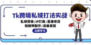（12598期）Tk跨境私域打法实战：私域营销/IP打造/直播带货/短视频制作/流量变现-优优云创网
