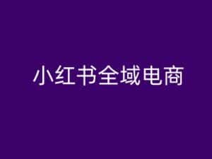 小红书全域电商,小红书电商教程-优优云创网