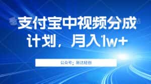 (12602期)单账号3位数,可放大,操作简单易上手,无需动脑。-优优云创网