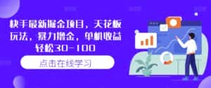 快手最新掘金项目,天花板玩法,暴力撸金,单机收益轻松30-100-优优云创网