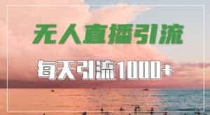 抖音快手视频号全平台通用,无人直播引流法,超暴力引流1000+高质量精准创业粉-优优云创网