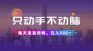 （12638期）只动手不动脑，每天发发视频，日入500+-优优云创网