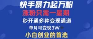 （12651期）快手暴力起万粉，涨粉只需一星期，多种变现模式，直接秒开万合，小白创…-优优云创网