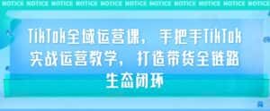 TikTok全域运营课，手把手TikTok实战运营教学，打造带货全链路生态闭环-优优云创网