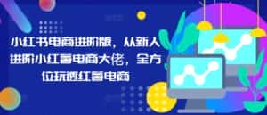 小红书电商进阶版，从新人进阶小红薯电商大佬，全方位玩透红薯电商-优优云创网