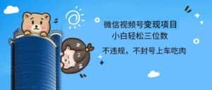 (12660期)2024最新微信视频号,0撸项目,自己玩,小白轻松日入三位数-优优云创网