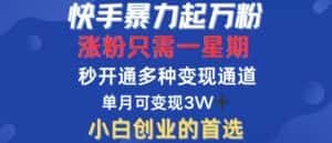 快手暴力起万粉,涨粉只需一星期,多种变现模式,直接秒开万合,单月变现过W-优优云创网