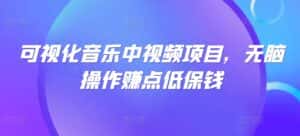 可视化音乐中视频项目,无脑操作赚点低保钱-优优云创网